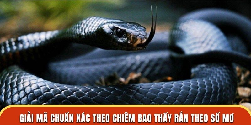 Giải mã chuẩn xác theo chiêm bao thấy rắn theo sổ mơ