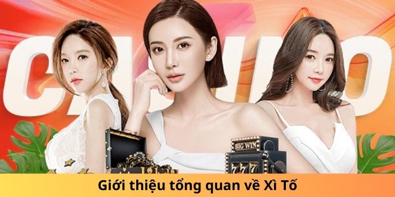 Giới thiệu sơ bộ về Xì Tố