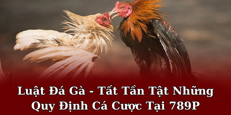 luật đa gà