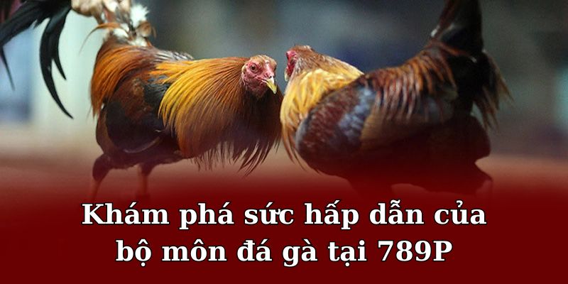 Khám phá sức hấp dẫn của bộ môn đá gà tại 789P