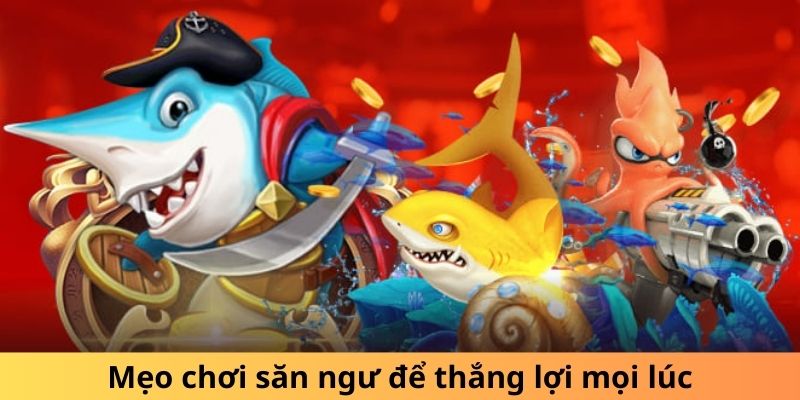 Mẹo chơi săn ngư để thắng lợi mọi lúc