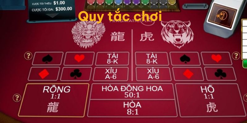 Quy tắc cược rồng hổ