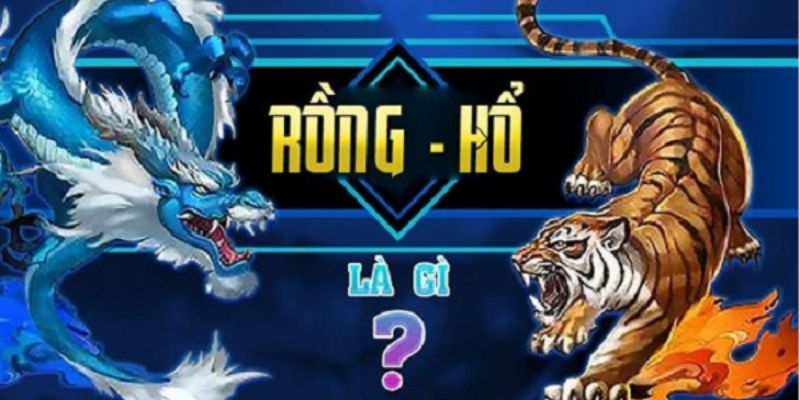 rồng hổ 789p